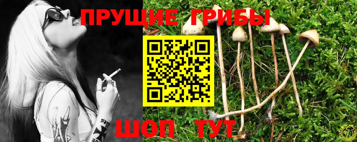 Заводоуковск  Галлюциногенные грибы Psilocybe  Галлюциногенные грибы мухоморы  закладки  Вход с VPN 