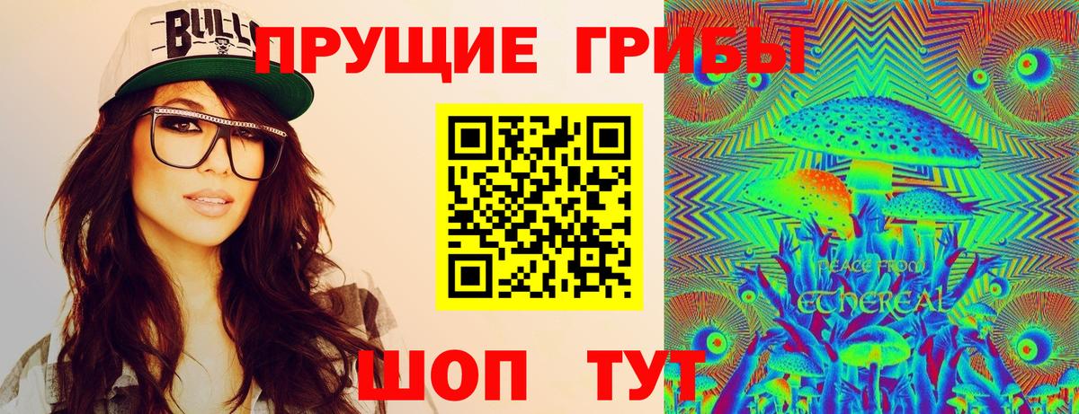 Псилоцибиновые грибы Psilocybe Заводоуковск